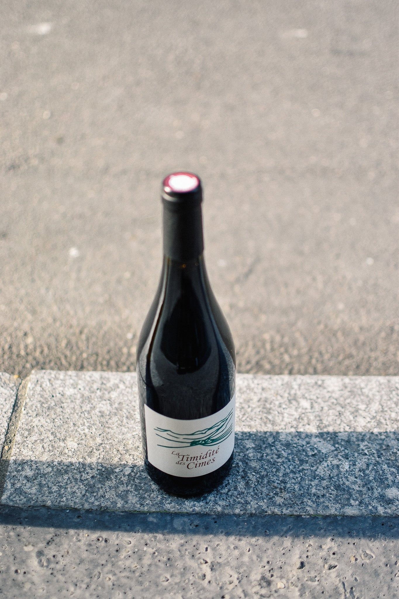 TIMIDITÉ DES CIMES 2024