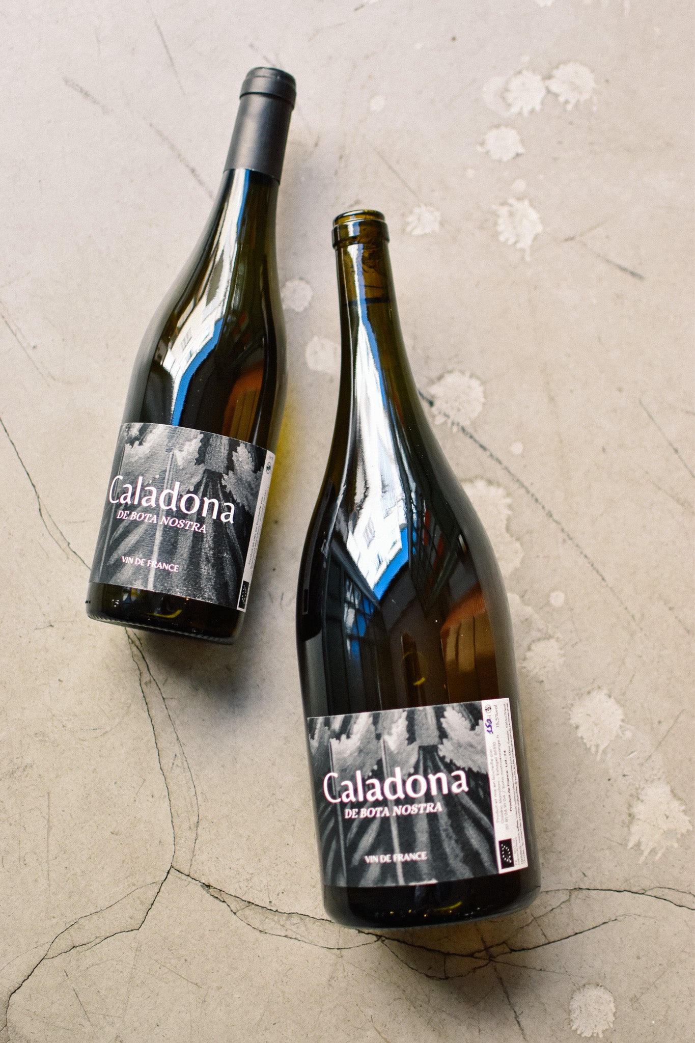 CALADONA 2025 (MAGNUM)