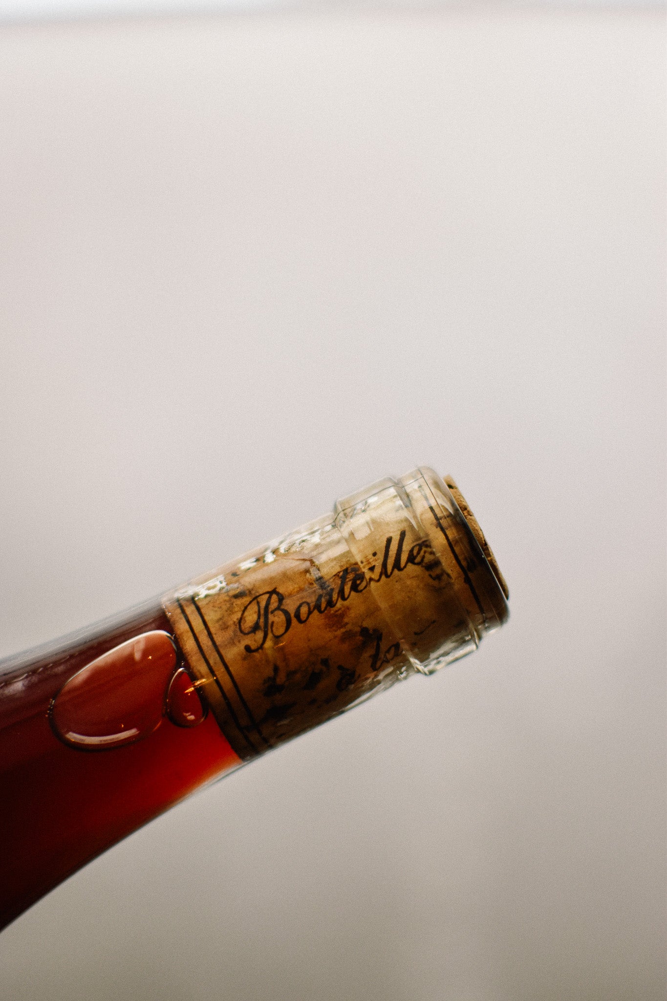 CINSAULT 2023