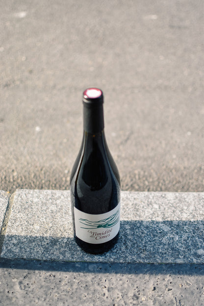 TIMIDITÉ DES CIMES 2024