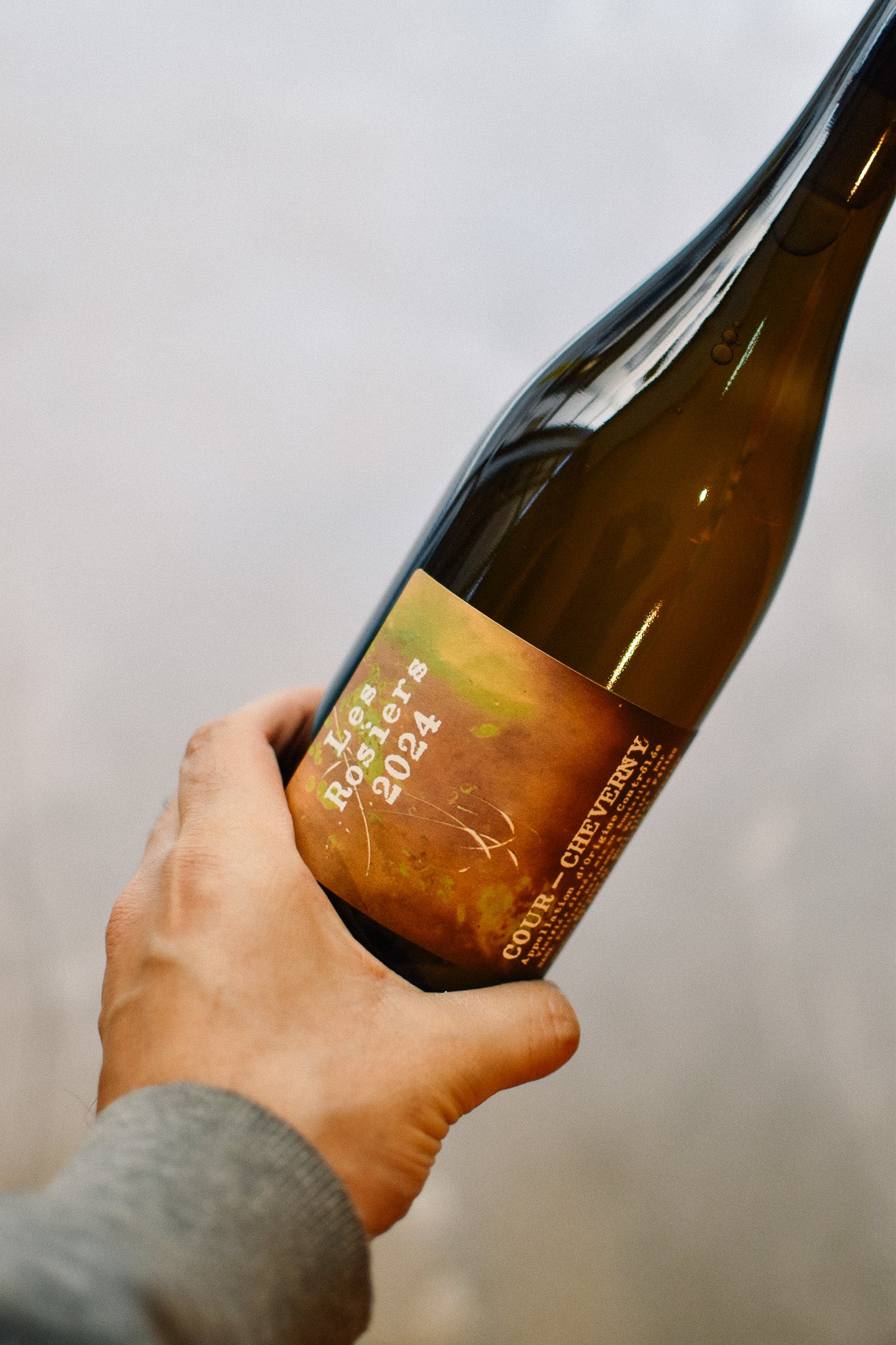 LES ROSIERS 2024 (COUR-CHEVERNY)