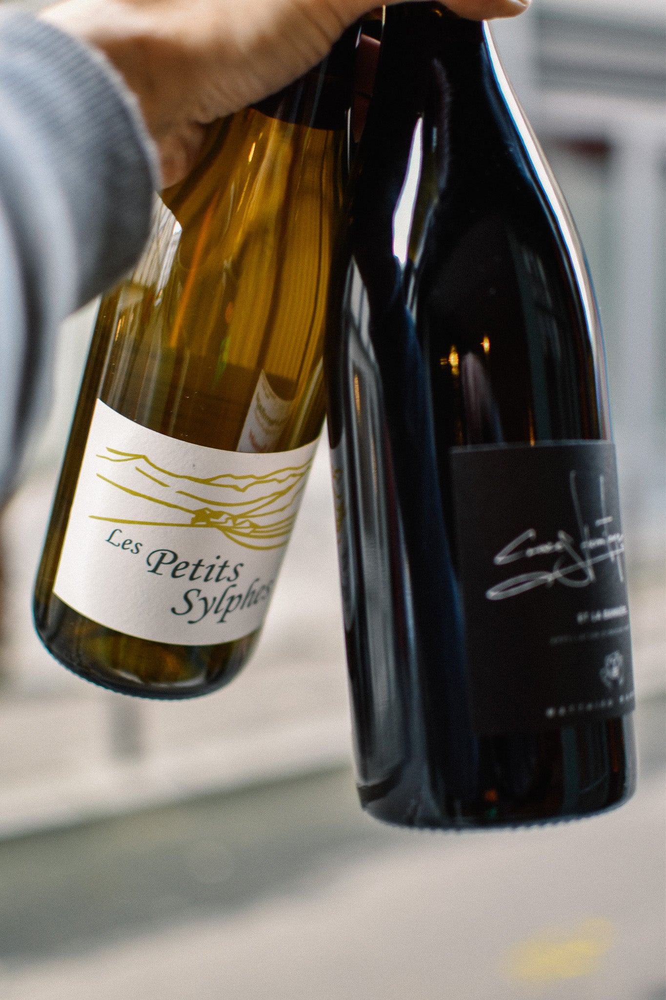 PACK : PROVENCE & VALLÉE DU RHÔNE