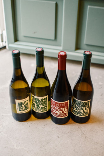 BOURGOGNE BLANC 2024