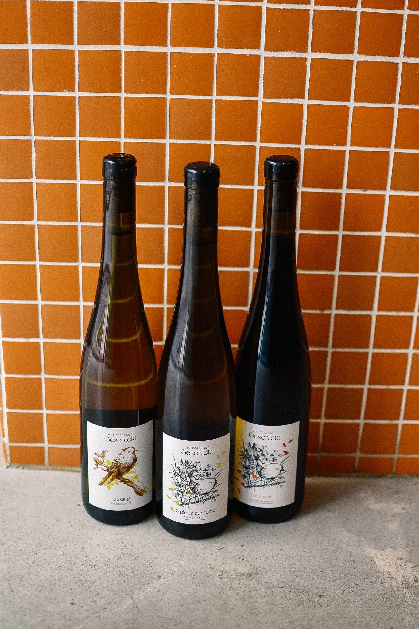 RIESLING (HOLDERBAUM) 2024
