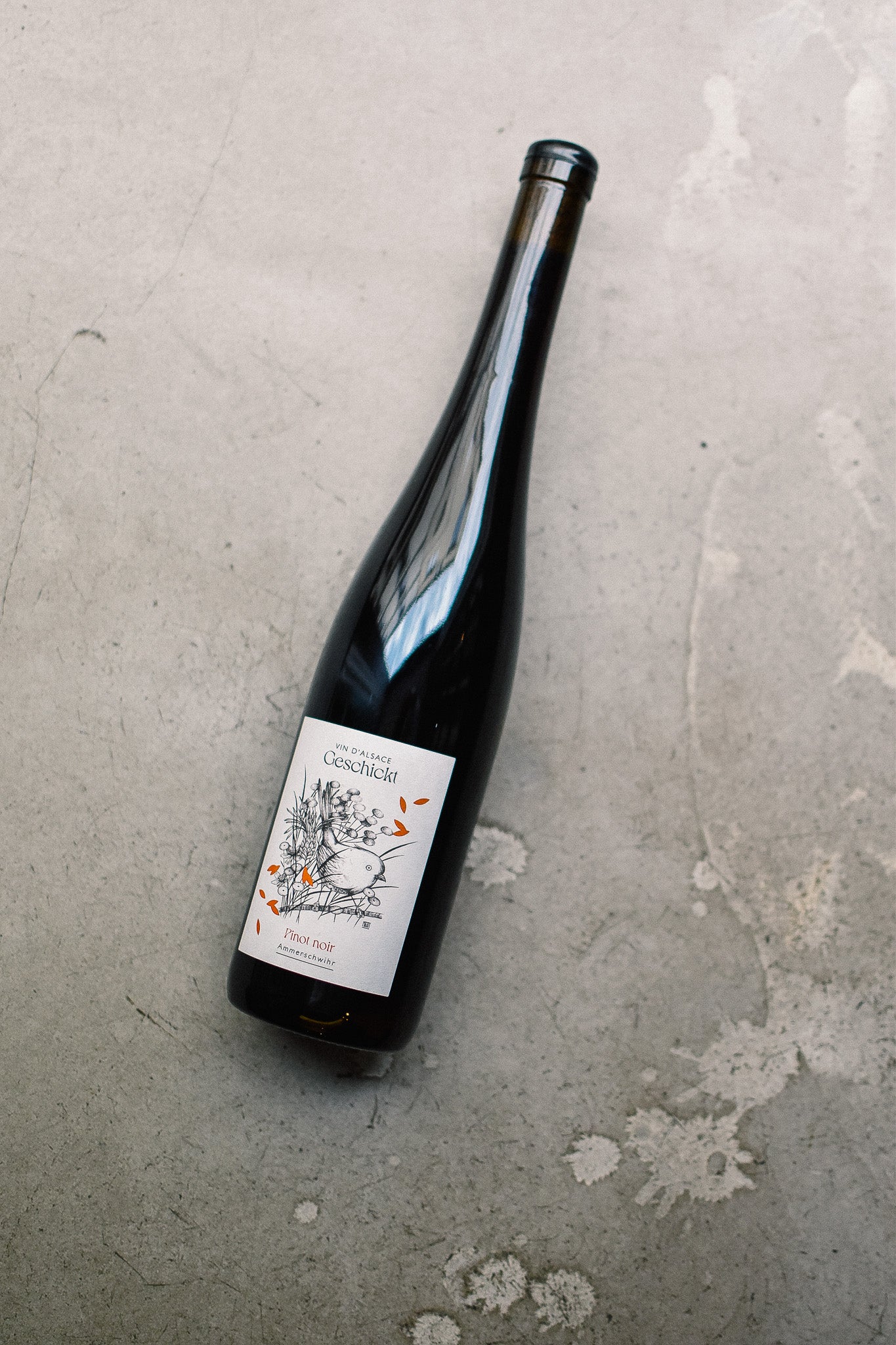 PINOT NOIR (AMMERSCHWIHR) 2024