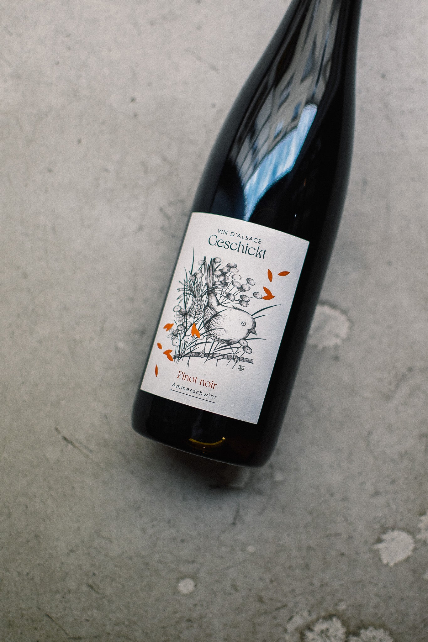 PINOT NOIR (AMMERSCHWIHR) 2024