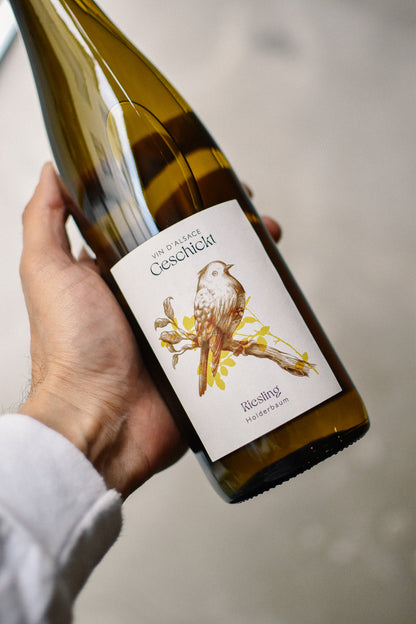 RIESLING (HOLDERBAUM) 2024
