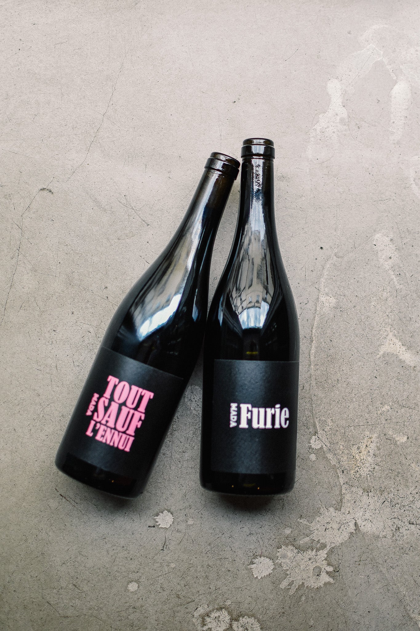 FURIE 2024