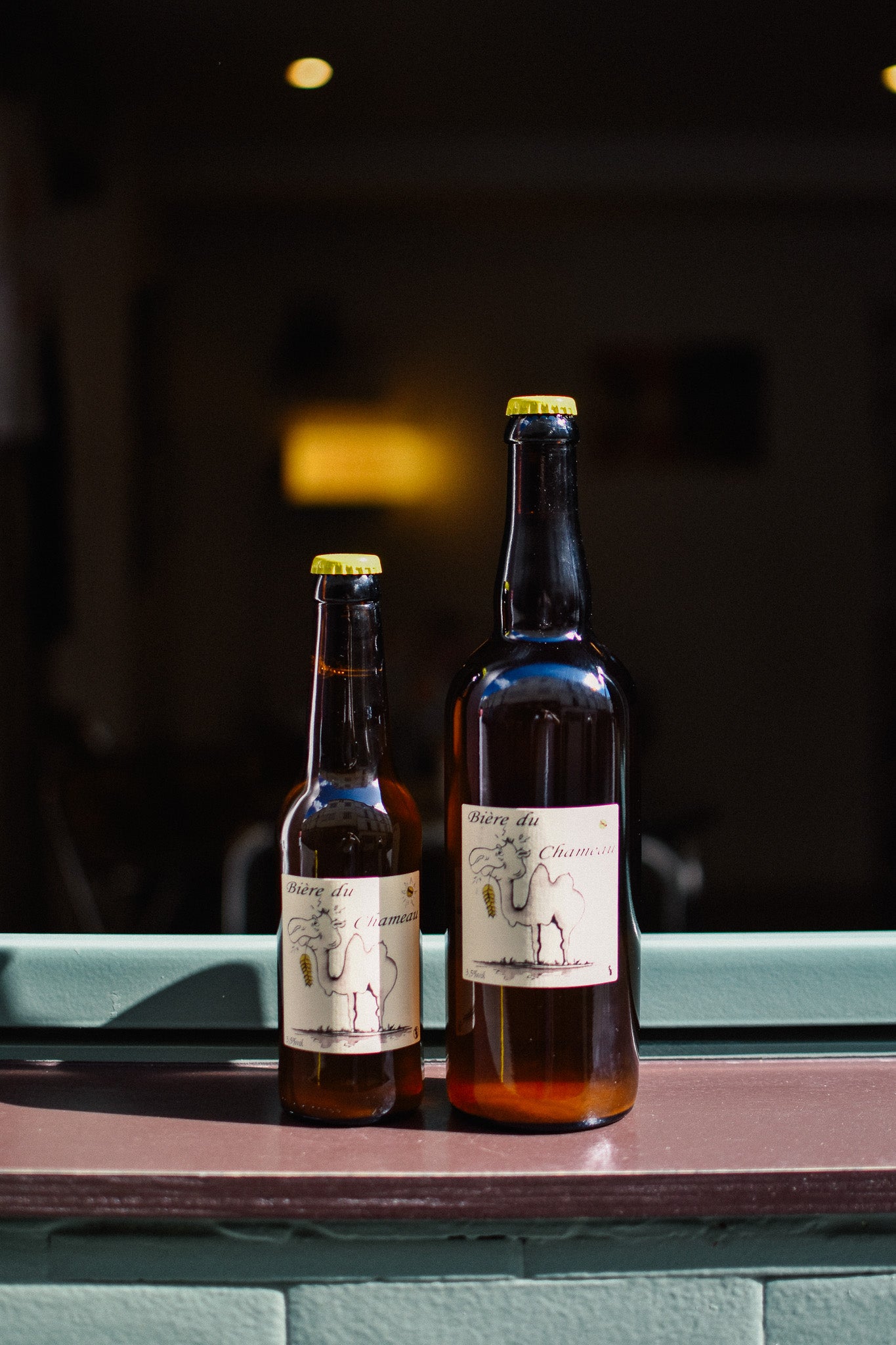 LA BIÈRE DU CHAMEAU (33cl)
