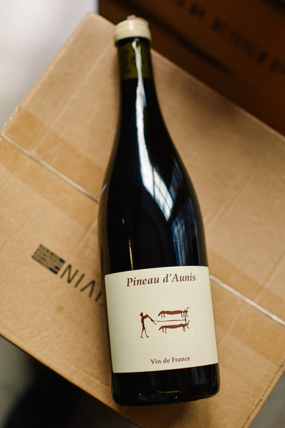 PINEAU D'AUNIS 2024