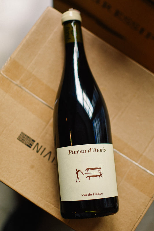 PINEAU D'AUNIS 2024