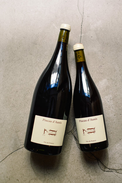 PINEAU D'AUNIS 2024 (MAGNUM)