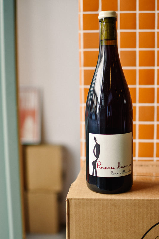 PINEAU D'AUNIS 2023