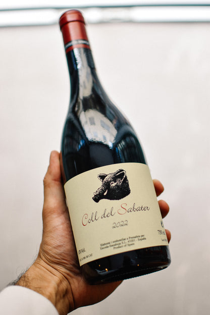 COLL DEL SABATER 2022