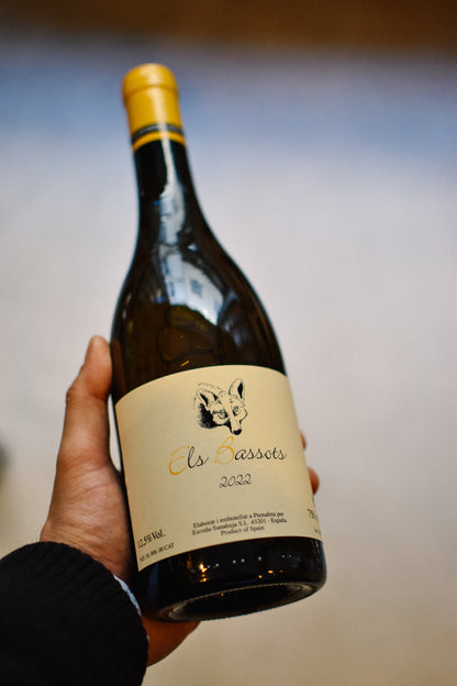 ELS BASSOTS 2022