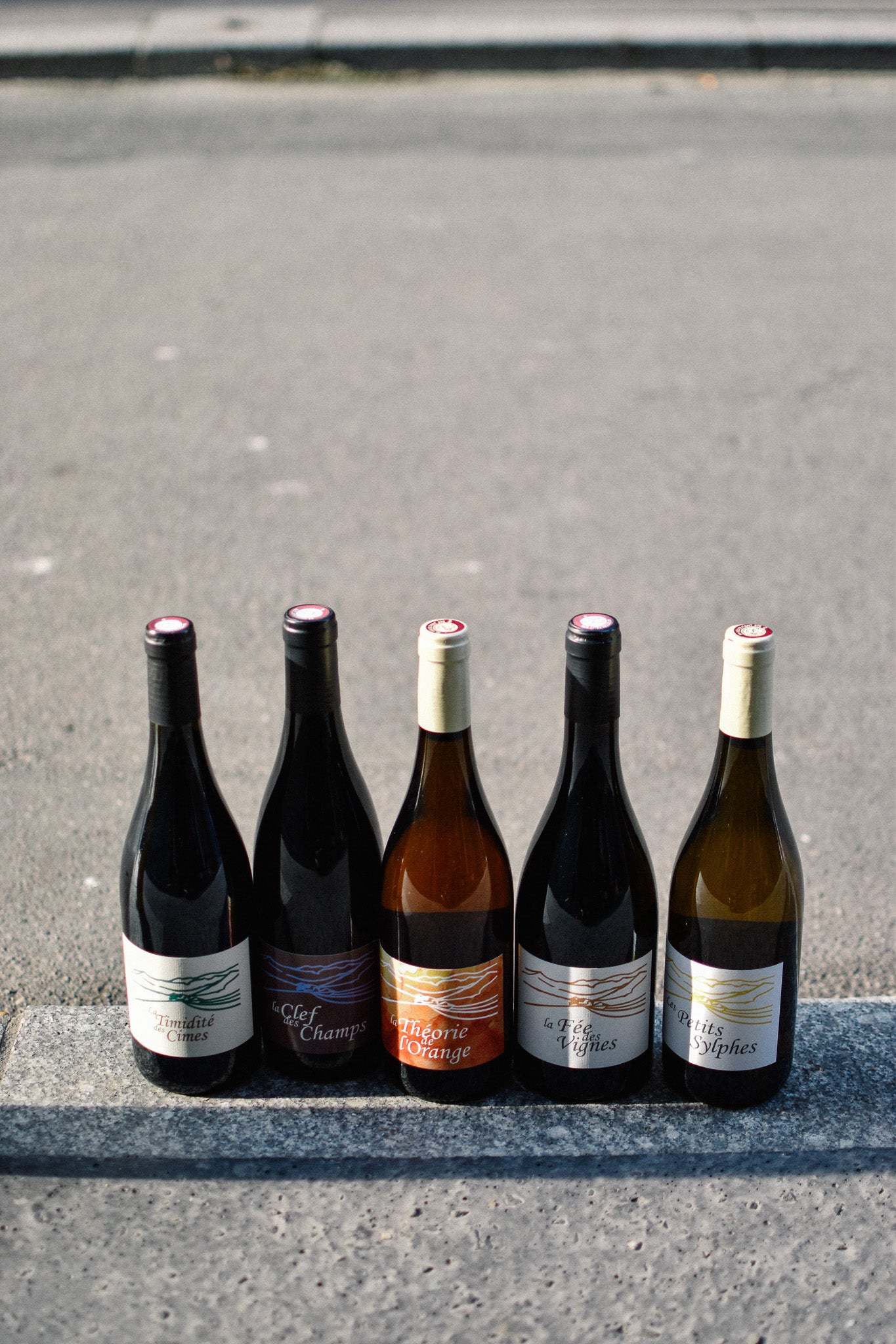 TIMIDITÉ DES CIMES 2024